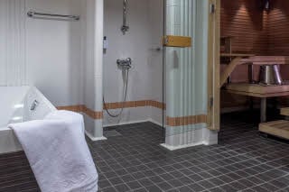 Sauna in Presidential Suite