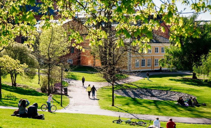 Sinebrychoff Park, Kuvatoimisto Kuvio Oy