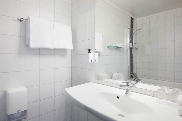 Bathroom in Standard Family Room