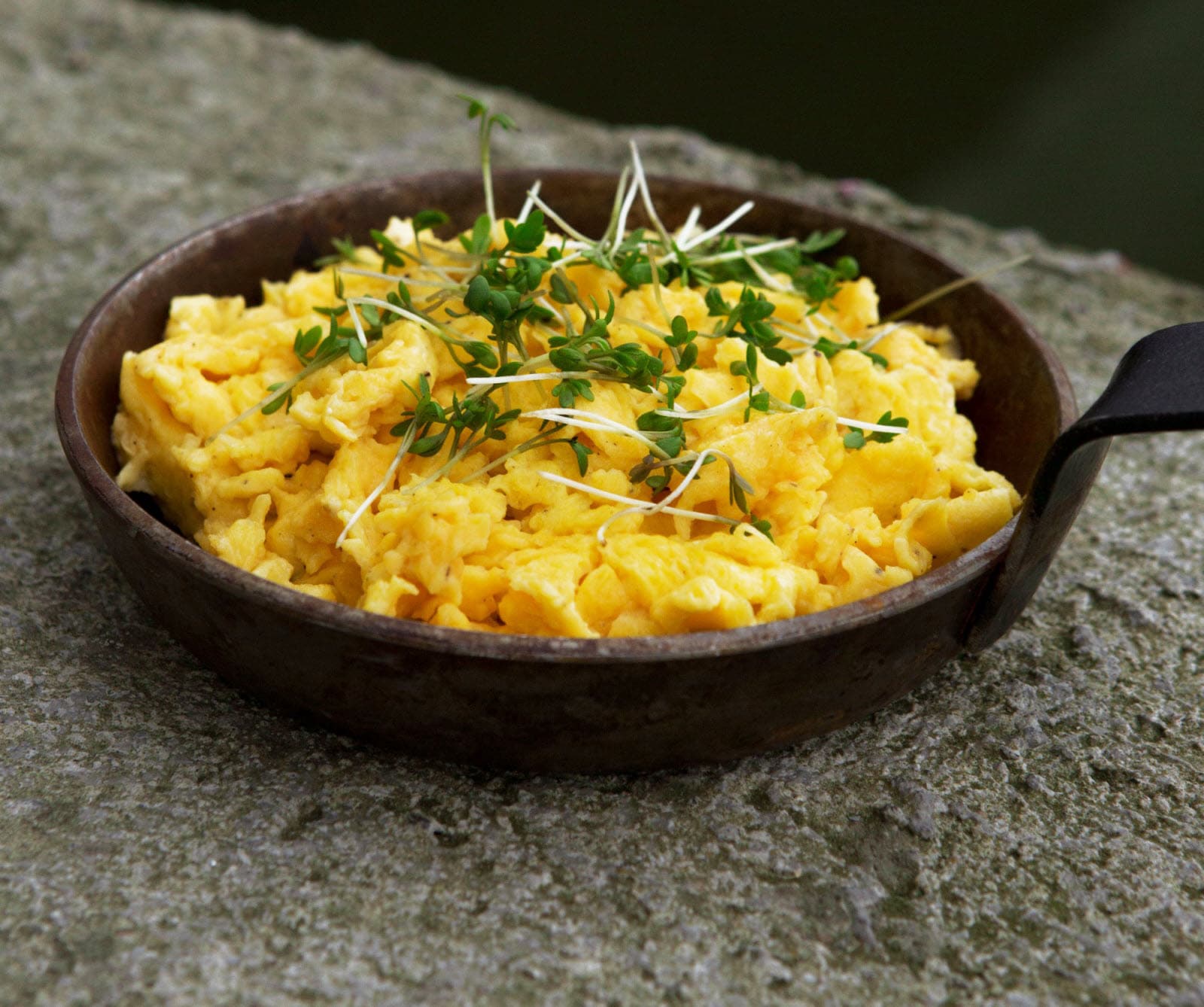 Recipe Scrambled eggs Scandic Hotels