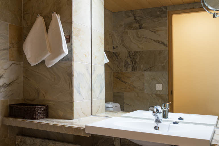Suite bathroom 