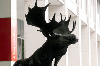 Elk Scandic Berlin Potsdamer Platz