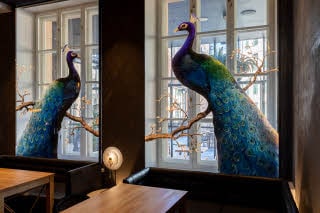 Art in the Bar G at Scandic Grand Central Helsinki