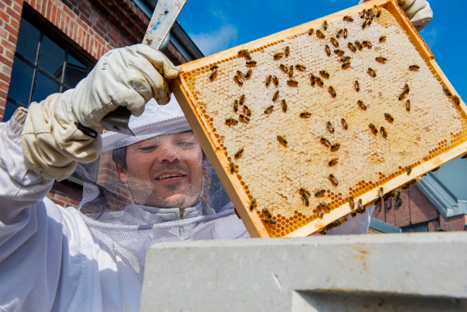 Meet Nordic Honey beekeepers — Nordic Honey