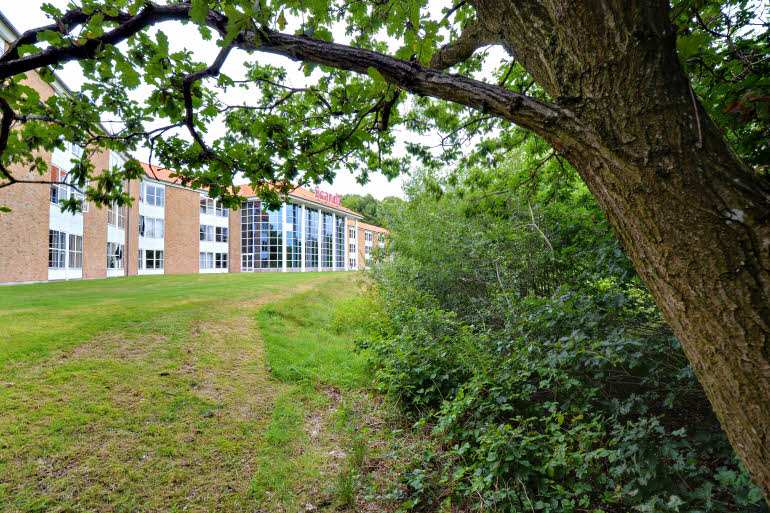 Scandic Silkeborg, South, Front towards the woods and the lakes