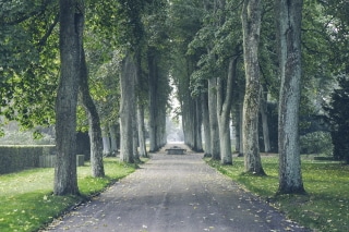 Vestre Cemetery at Vesterbro | Photo: copenhagenmediacenter.com | Scandic Hotels