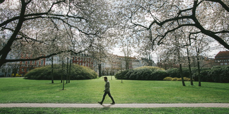 People stroll through King’s Garden